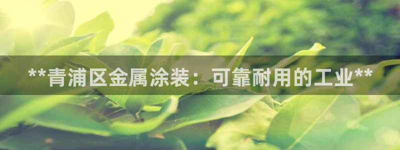 美高梅中国有限公司