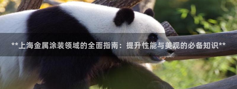 美高梅网络平台游戏靠谱吗