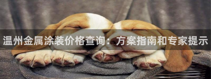 美狮美高梅酒店环境