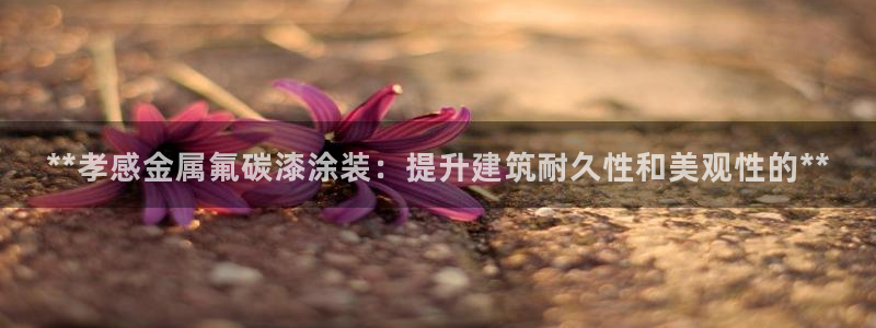 美高梅的老板是何超莲吗