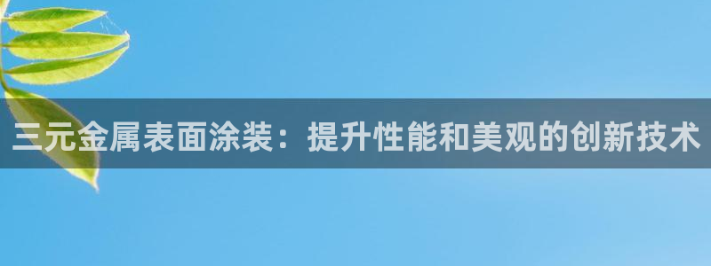 美高梅最大筹码