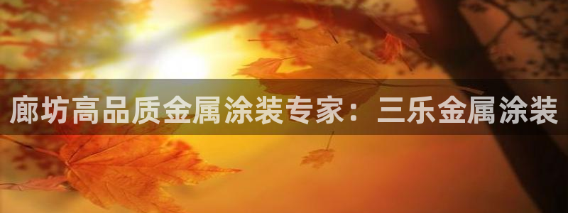 美高梅拉斯维加斯大酒店
