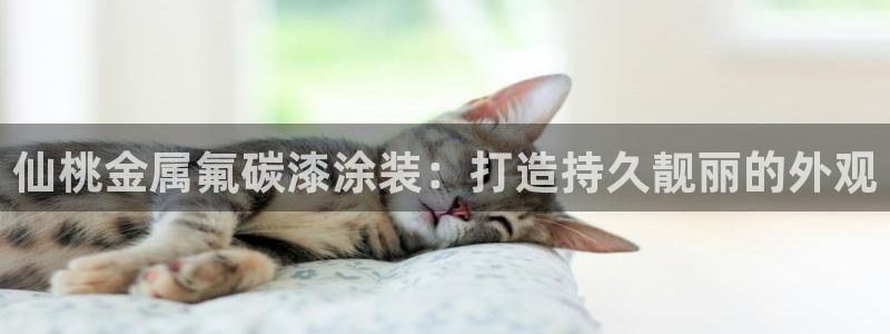 美高梅金狮贵宾会宾至如归显
