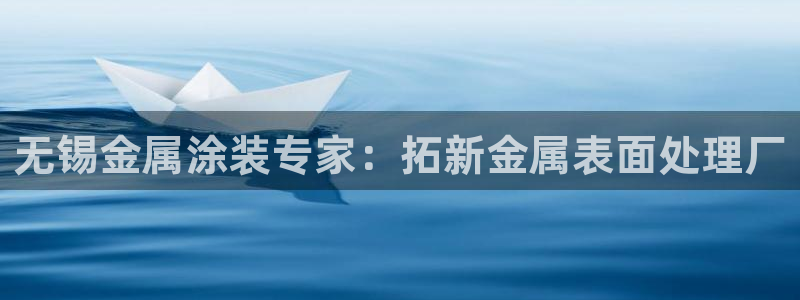 美高梅国际酒店集团资产