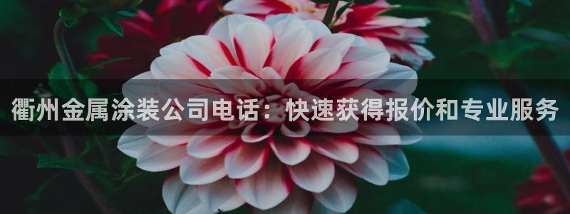 美高梅股票中国净资产多少