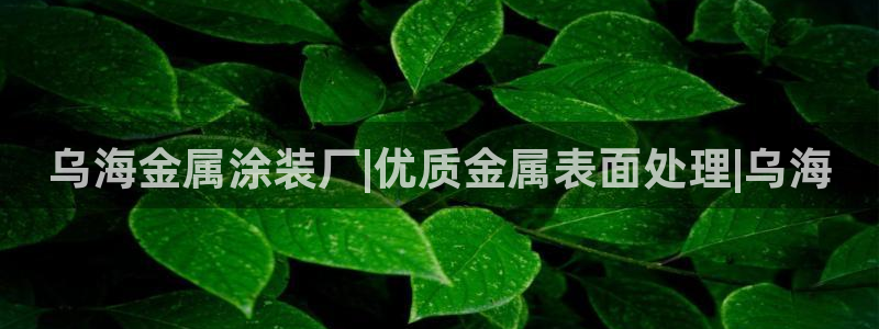 美高梅大酒店多少层