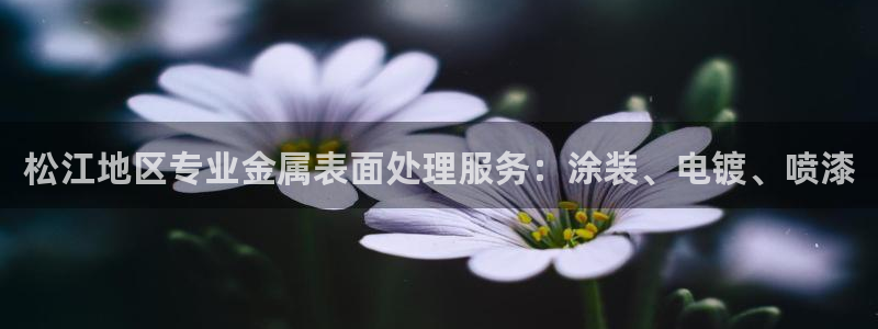 美高梅ip