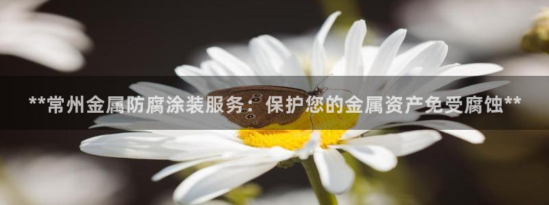 美高梅美荟酒店