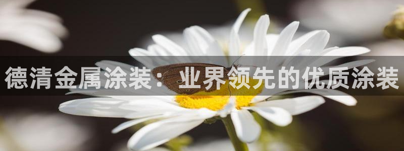 美高梅会员卡要输多少
