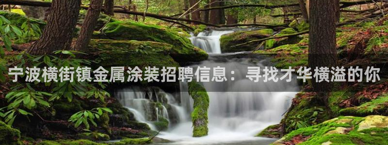 美高梅会员卡升级