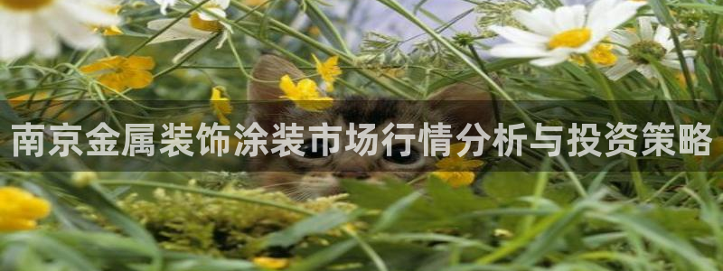 美高梅游戏安卓手机版