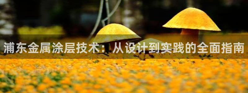 美高梅旗下
