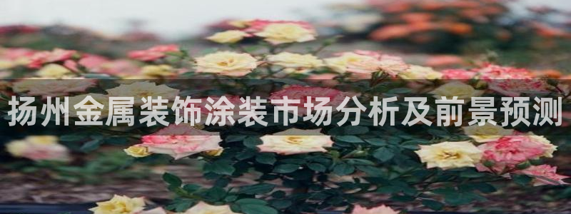 美高梅VIP音乐会