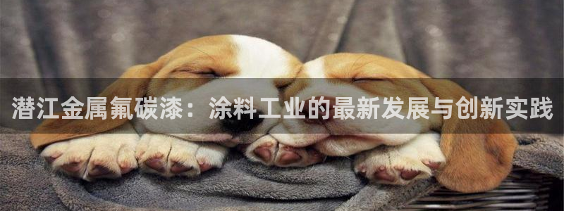 美高梅创始人是谁