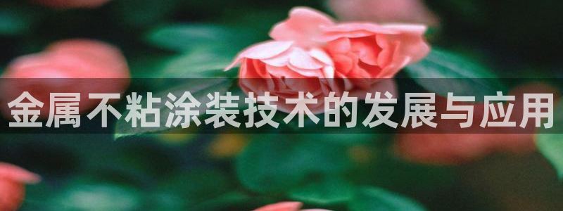 美高梅是做什么的澳门何超琼