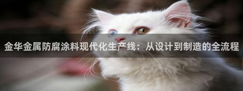 美高梅空气炸锅怎么样
