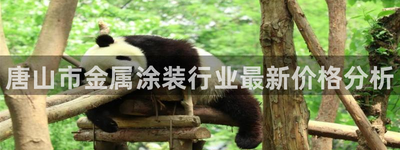 美高梅会员卡