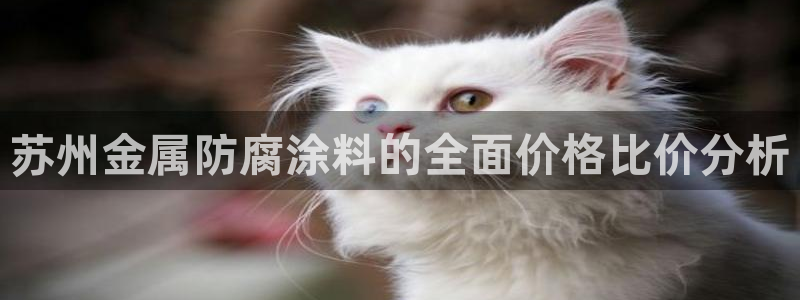 美高梅在澳门有几家分公司