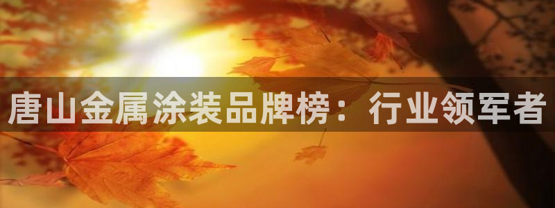 美高梅提现提不出来