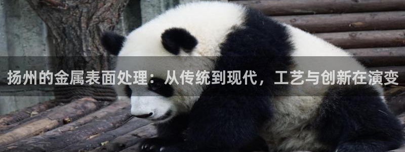 美高梅酒店可以带走的东西