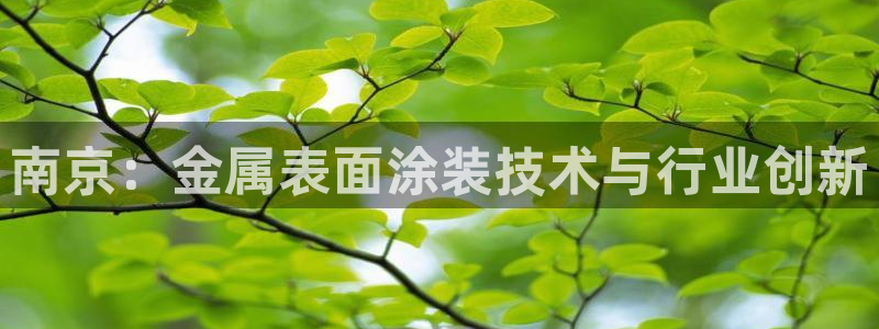 美高梅酒店入住率