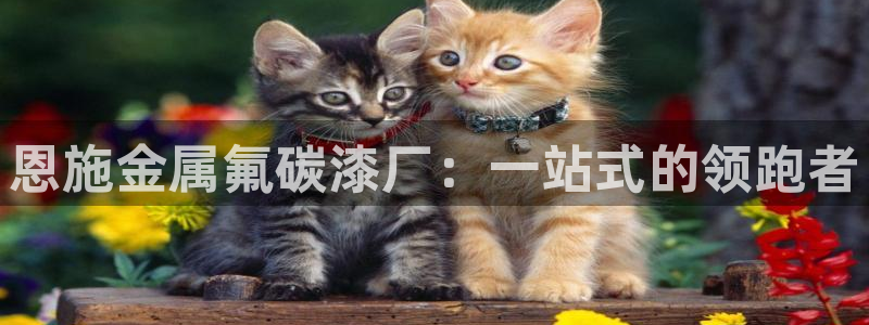 美高梅国际酒店集团官网