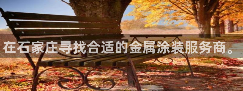 美高梅公司位置