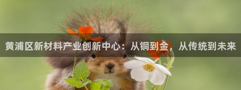美高梅游戏官网app可以玩吗安全吗