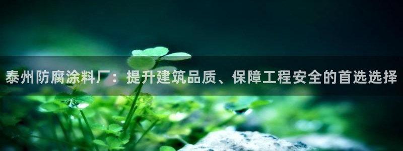 美高梅和美狮美高梅有什么区别吗：泰州防腐