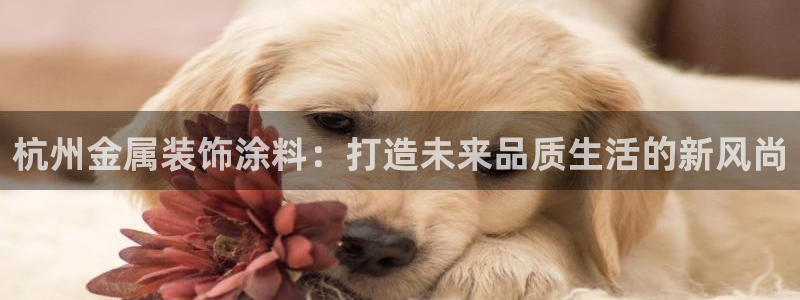 美高梅股票股价