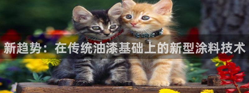 美高梅北京项目