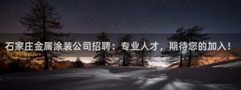 美高梅别墅户型图600平
