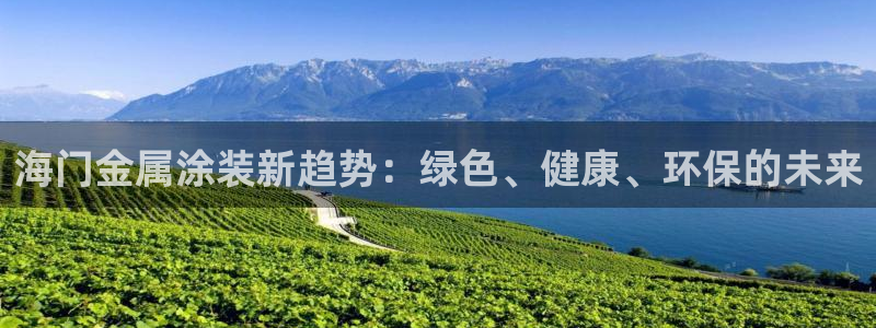 美高梅是何超琼的吗?