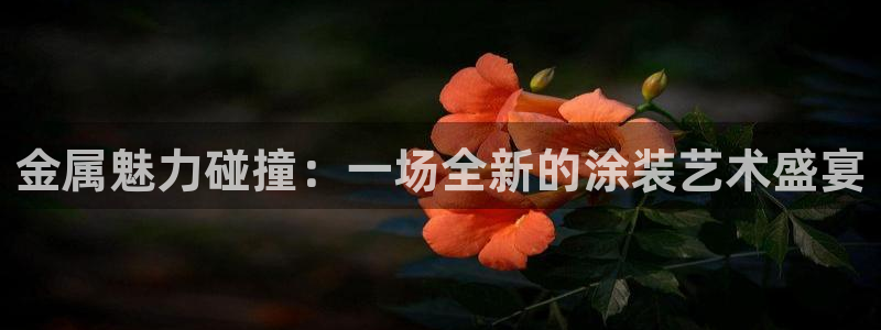 美狮美高梅酒店会员