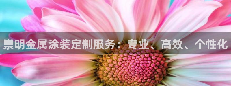 澳门有几家美高梅酒店