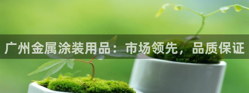 美高梅控股有限公司招聘