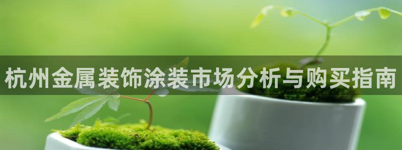 美高梅度假酒店会员卡