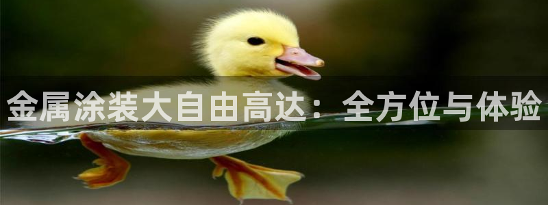 美高梅会员卡排序怎么排