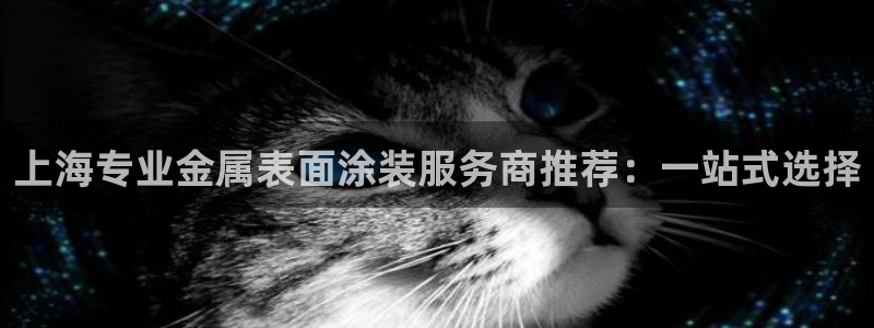 美高梅空中海洋秀