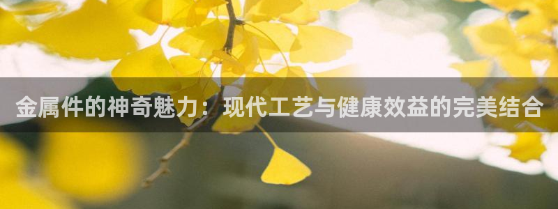 美国美高梅酒店集团