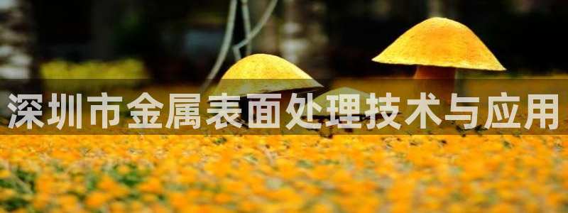 三亚美高梅酒店是哪个集团