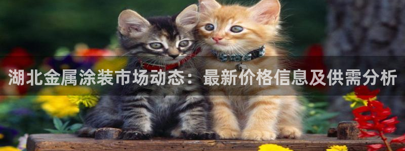 美高梅酒店vogue杂志