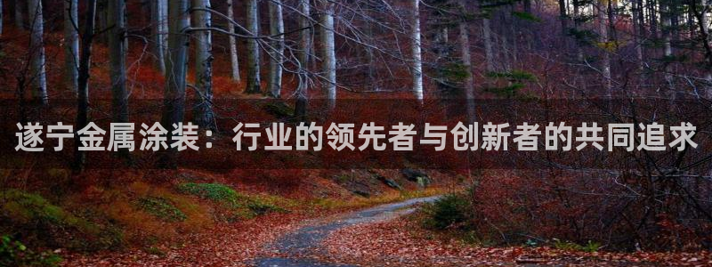 美狮美高梅酒店风水