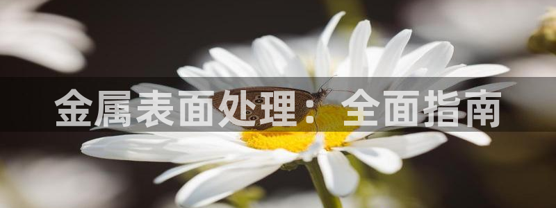 美高梅会员卡好用不