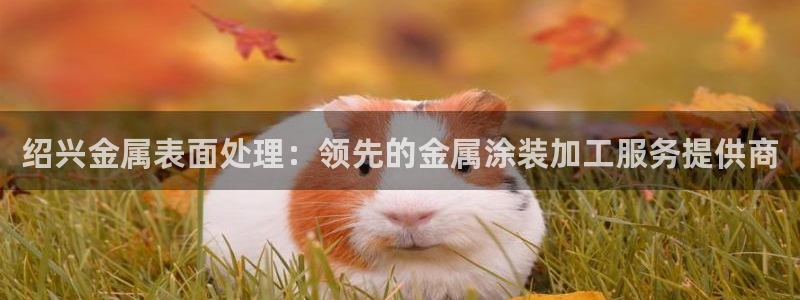 美高梅酒店武汉